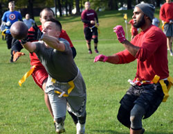 finger tips finger tips