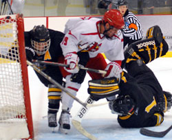 crashes the net crashes the net