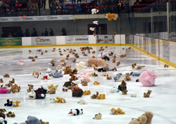 teddy bear toss
