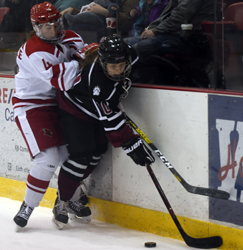 along the boards along the boards