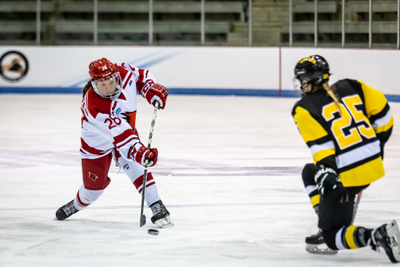 shot on net shot on net