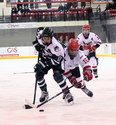 poke check poke check