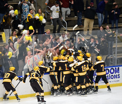 game winning celeberation