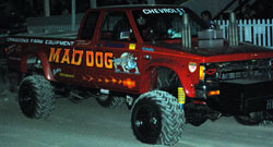 sand flying sand flying